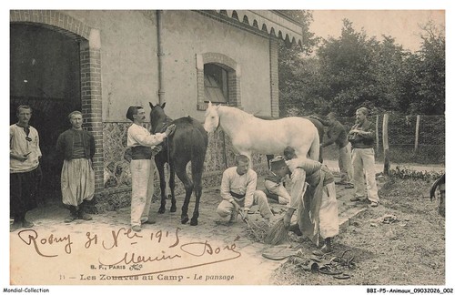 Bbip5 0397 animaux les - bbip5-0397-animaux,
