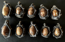 1 Perle Thaï Cauris Bia Gae