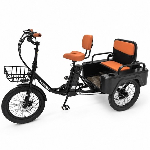 Tricycle électrique pliant - , 20