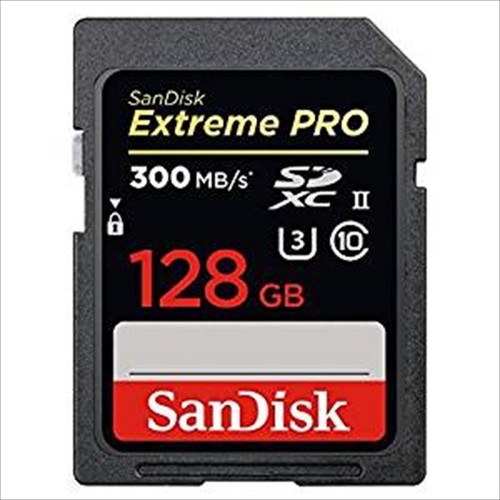 Carte mémoire sandisk sdxc - mémoire,