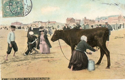 Berck laitière sa - berck,