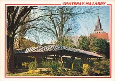 92 CHATENAY MALABRY LE VIEUX
