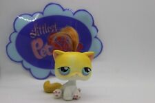 LPS PETSHOP # 42 chat EUROPEEN jaune meche EUROPEAN cat kitty hasbro pet shop
