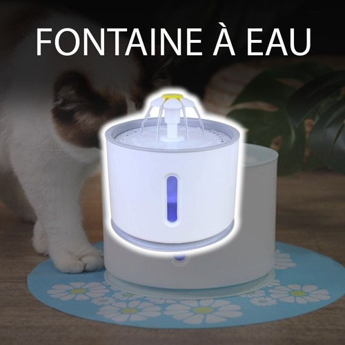 Fontaine eau pour - fontaine, petit