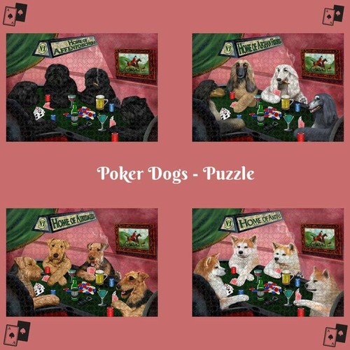 Home dogs catspets paying - dogs,