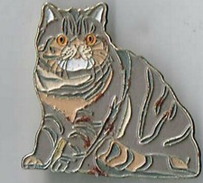 Editions Atlas. PASSION DES CHATS. Exotic classique.. CHAT A ROBE TABBY. 