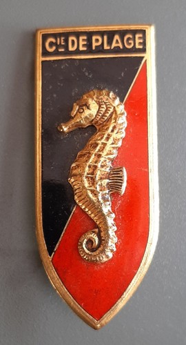 Variante insigne badge - variante,