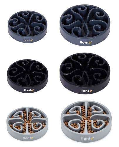 Lionto gamelle pour - gamelle,