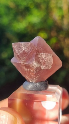 Pink fluorite fluorine - fluorite,