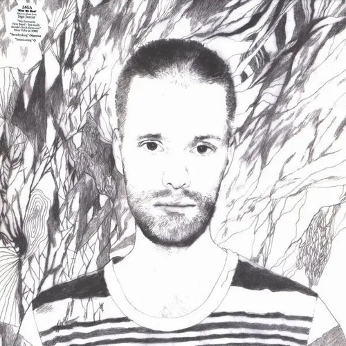 Jaga jazzist what must - jaga,