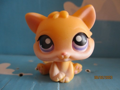 Petshop chaton chat n - petshop, /