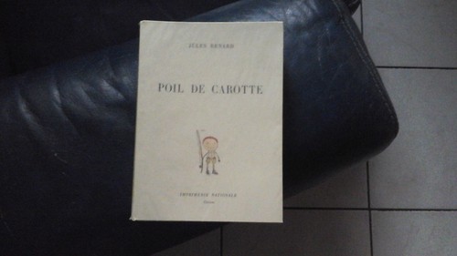Jules renard poil carotte - renard,
