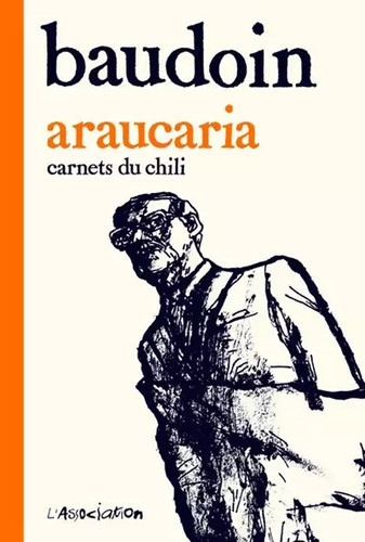 Araucaria edmond baudoin - araucaria,,