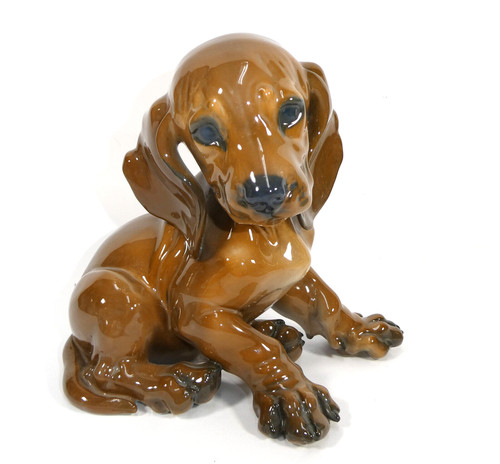 Dachshund chiot prof theodor - dachshund, prof.