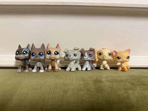 Hasbro lps petshop rare - hasbro,