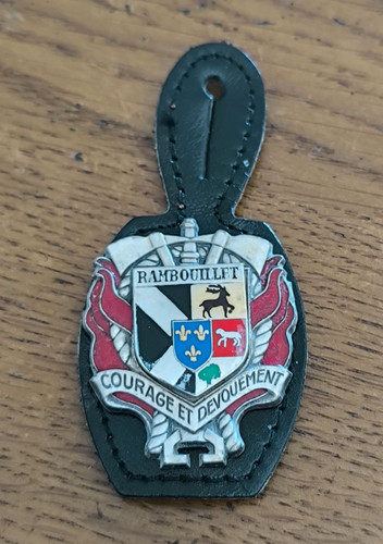 Insigne sapeurs pompiers - insigne,