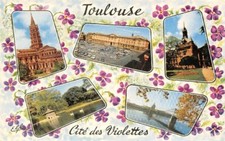 TOULOUSE - La Ville Rose -