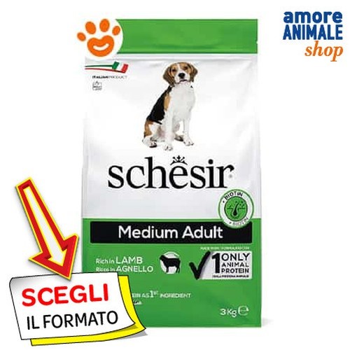Schesir chiens adultes - chiens, moyens