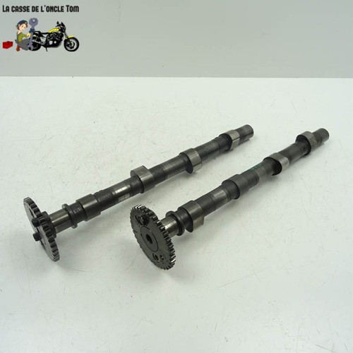 Arbres came kawasaki - arbres,