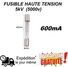 Fusible Haute Tension 5kV 600mA idéal pour Micro-ondes & Appareils Électriques