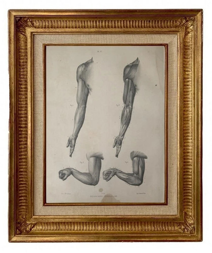 Gravure lithographie xix - gravure, xix°