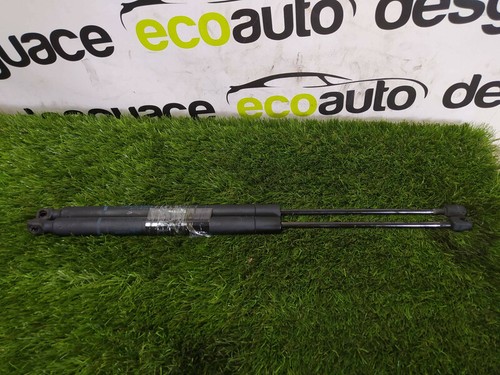 Verin coffre renault - verin,