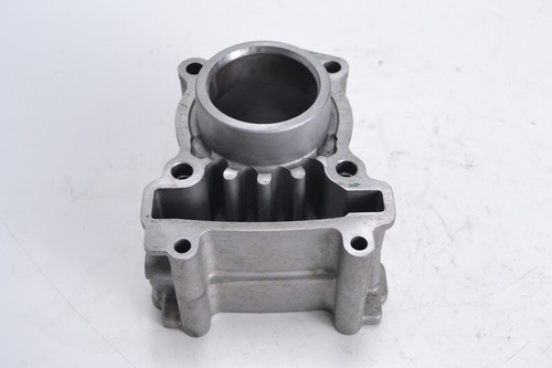 Cylindre moteur rieju mrt - du,