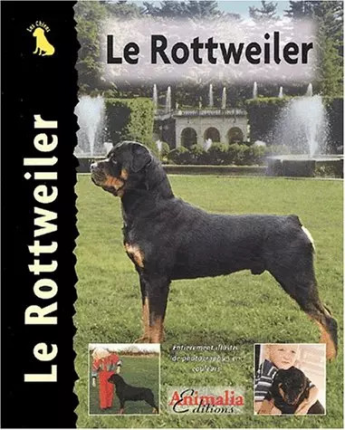 Rottweiler wilhelm jönas - le,