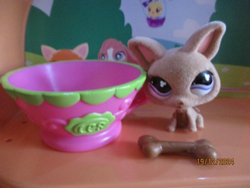 Petshop chien chihuahua 461 - petshop, +