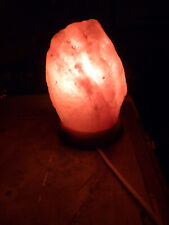 Lampe en Cristal de Sel de l'Himalaya Fabriquée à la Main avec Base en Bois