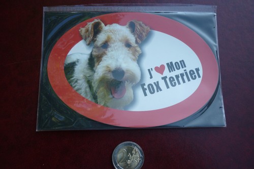Grand magnet chien fox - chien, /