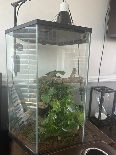 Terrarium with light - terrarium,