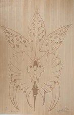 Félix LABISSE : Orchidée, le