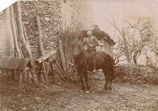 Snapshot homme sur son cheval paysan cage à poules lapin ferme fermier horse 