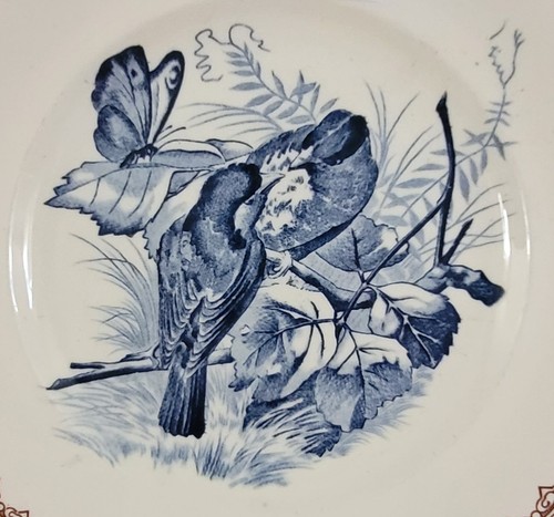 Assiette ancienne xixième - ancienne,