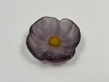 Fleur de Cactus couleur