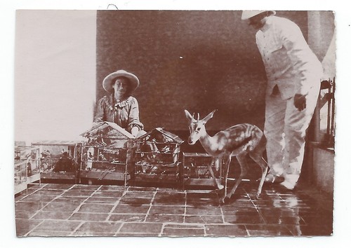 C506 photo vintage - c506,