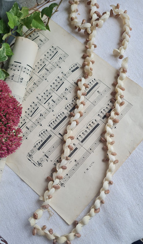 Ancien collier coquillage - collier,