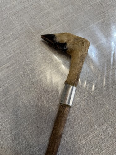 Rare canne ancienne - de, chasse