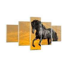 Impression sur Verre 125x70cm Tableaux Animaux cheval course à pied prairie