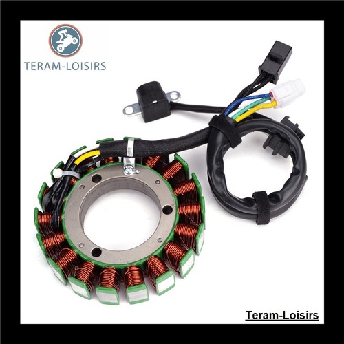 Stator alternateur pour arctic - stator,