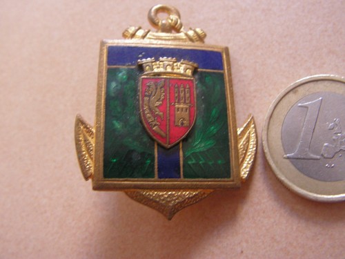 Insigne transmission école - ,