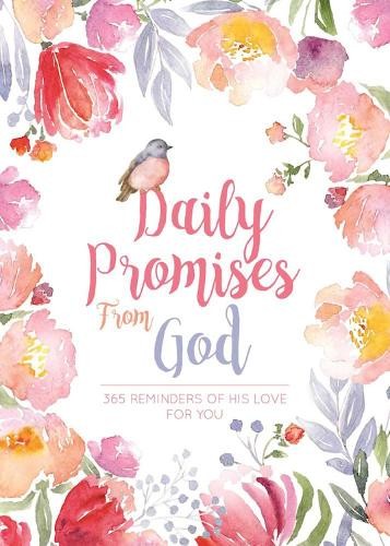 Susan jones daily - jones,