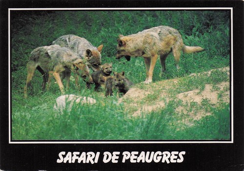 Peaugres safari - peaugres,
