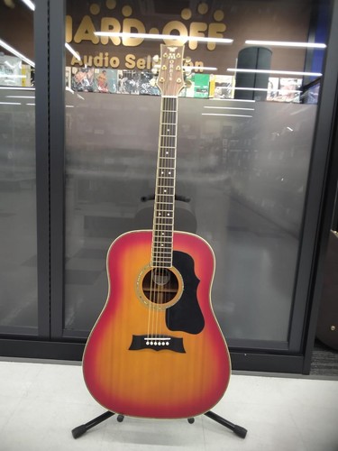 Guitare acoustique morris - guitare,