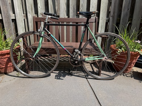 1991 bianchi pista - 1991,