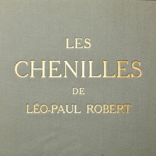 Les chenilles léo - chenilles, léo-paul