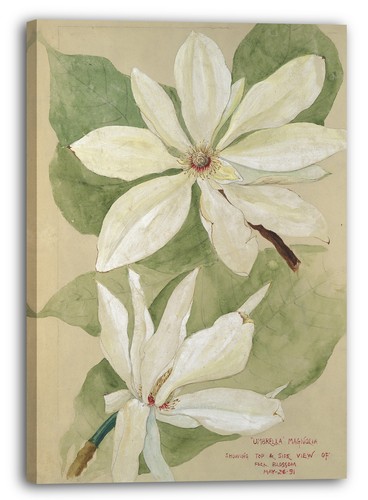 Toile cadres artiste - artiste, inconnu