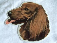 GRAND AUTOCOLLANT - motif chien  Tête TECKEL POIL LONG  N° 2