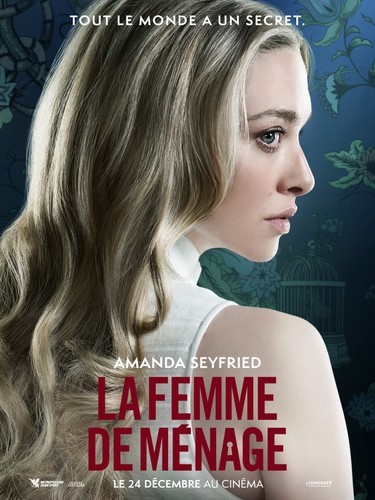 Femme menage affiche - femme,